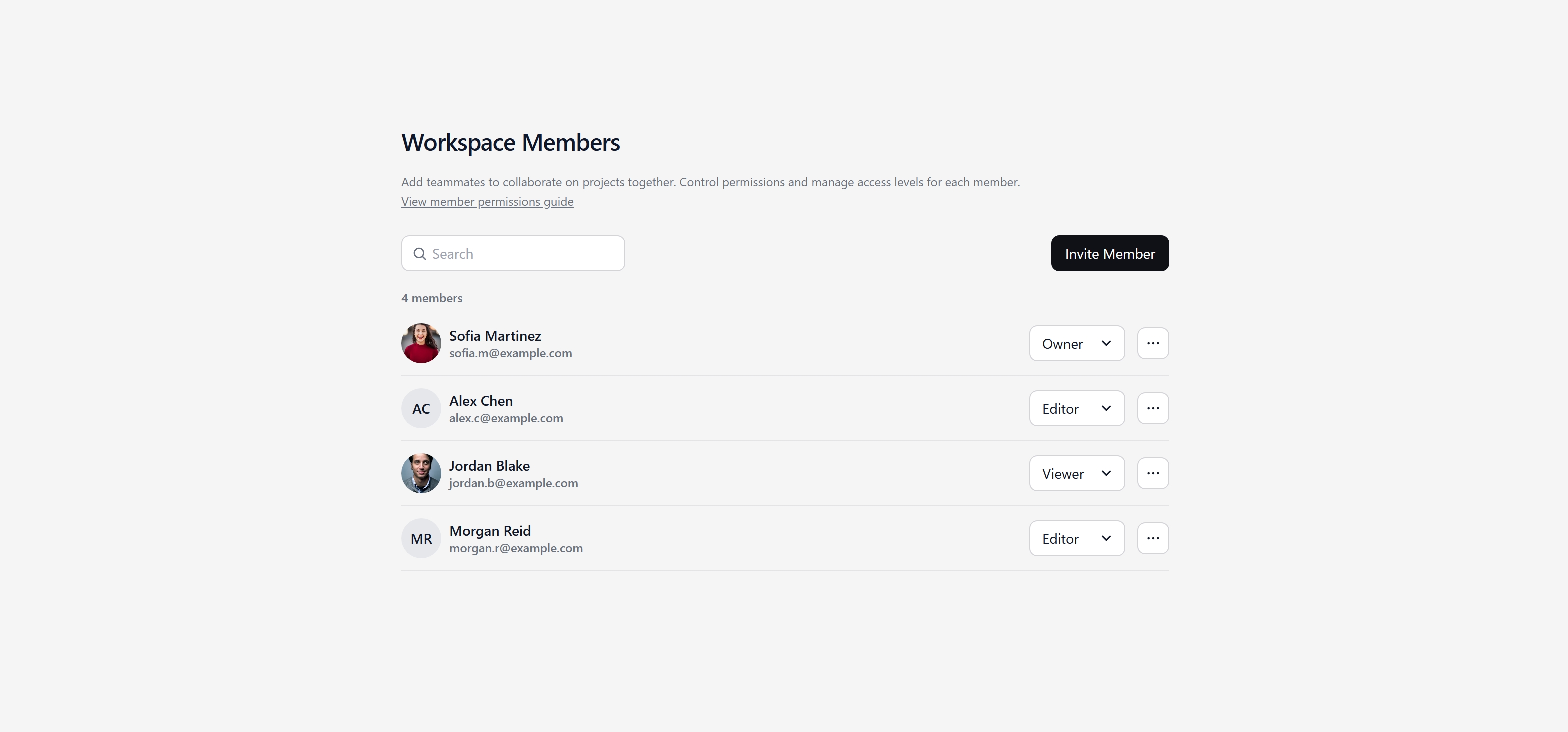 Member Manager Gallery — GenPages Ui | Power Apps components, blocks, pages, solutions